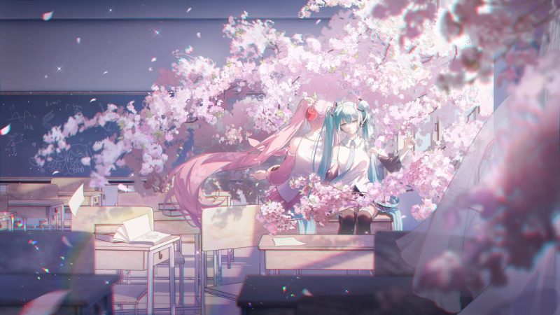 教室 樱花 初音未来(初音ミク-初音未来)壁纸 高清壁纸_次元岛