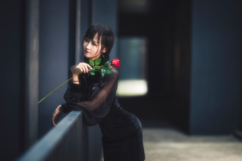 8P三度 夜蝶 玫瑰 写真 4K电脑壁纸_69015_次元岛