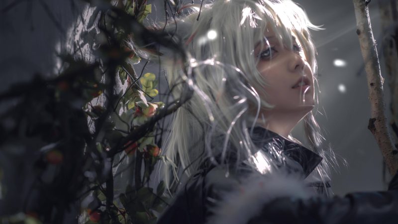 9P渊秧 明日方舟拉普兰德 典雅噩兆二次元ACG美图NO.19_次元岛